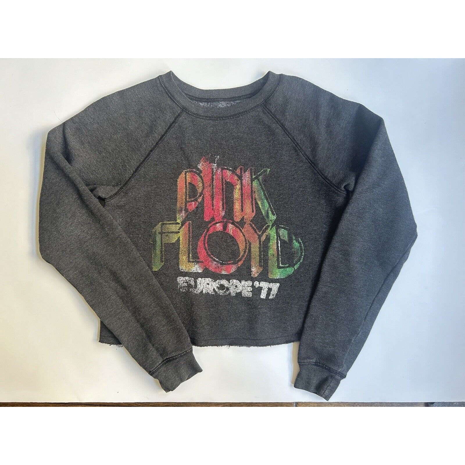Pink Floyd Retro Brand Graphic Print Cropped Ripped Sweatshirt Europe 77 Black M